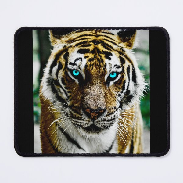 Item preview, Blue Eyed Tiger- Collection A designed and sold by Submariner  °.