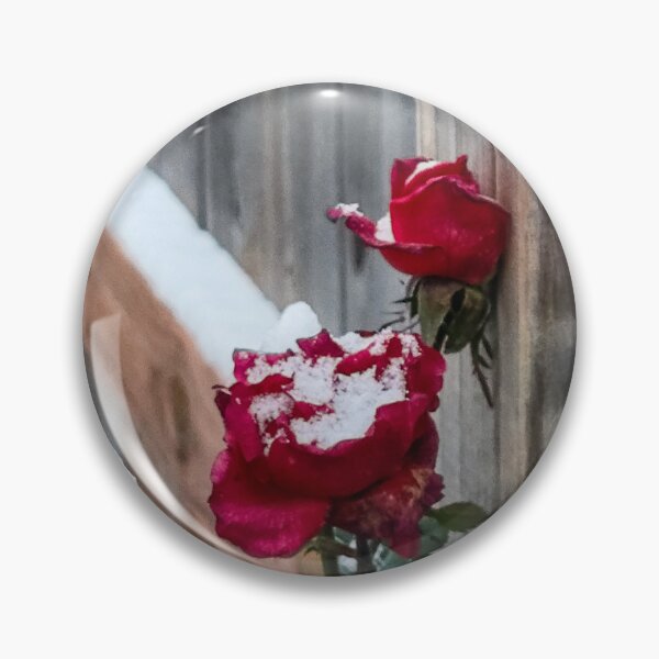 Aperçu de l'œuvre Deux roses rouges remplies de neige créée et vendue par Christa Chandler.