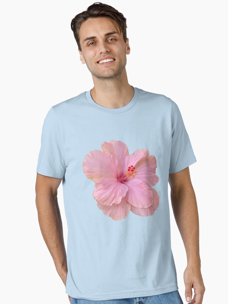 Cute Pink Hibiscus Flower