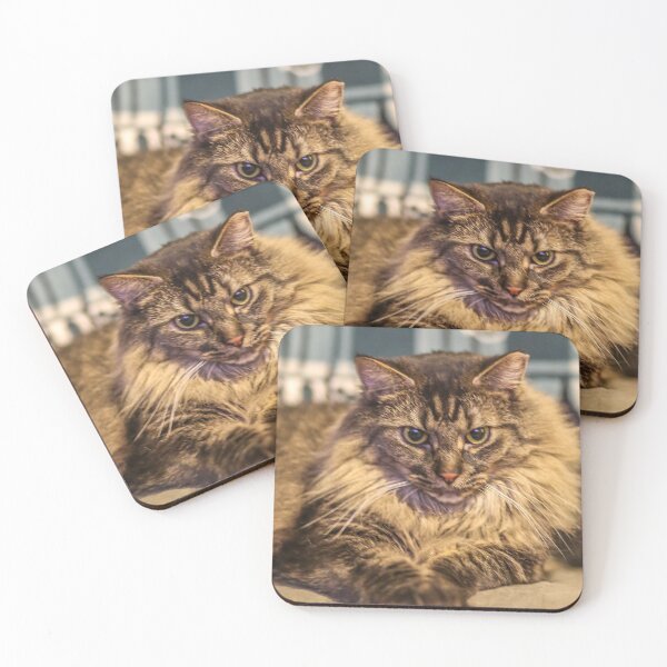 Item preview, My Cool Cat Gus designed and sold by ChrissMemories.