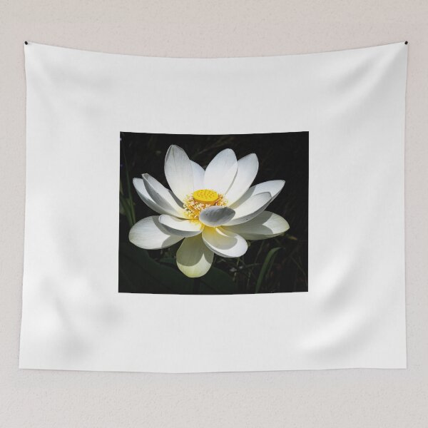 Item preview, Lotus flower designed and sold by PVphotography.