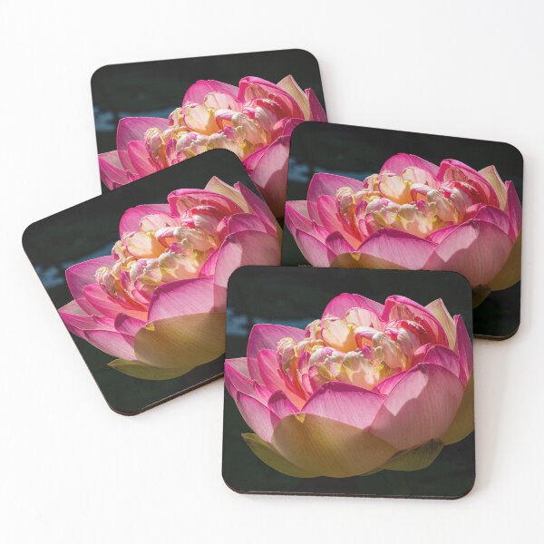 Item preview, Lotus flower designed and sold by PVphotography.