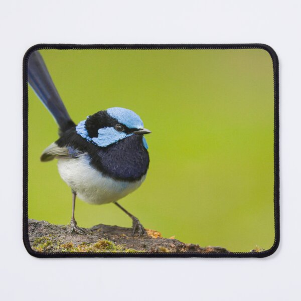 Item preview, Shades of Blue designed and sold by CBoyle.