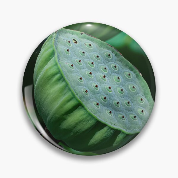 Item preview, Lotus pod designed and sold by PVphotography.