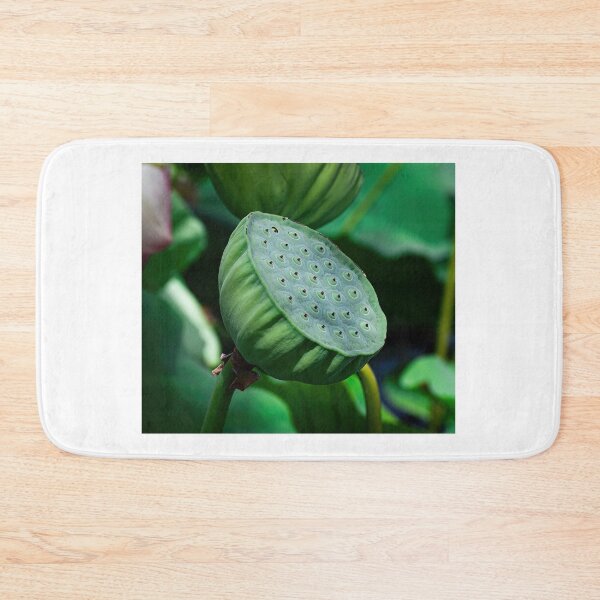 Item preview, Lotus pod designed and sold by PVphotography.