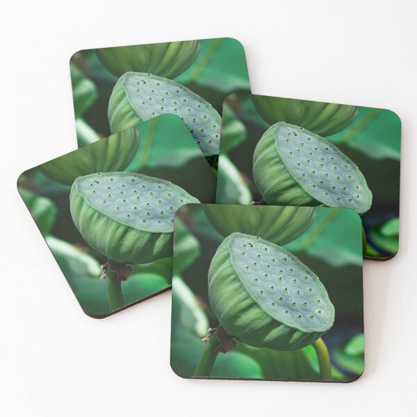 Item preview, Lotus pod designed and sold by PVphotography.