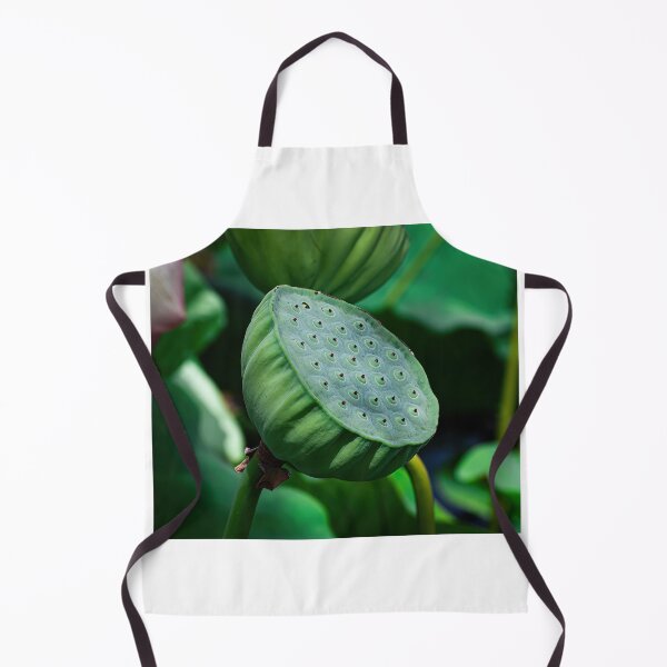 Item preview, Lotus pod designed and sold by PVphotography.