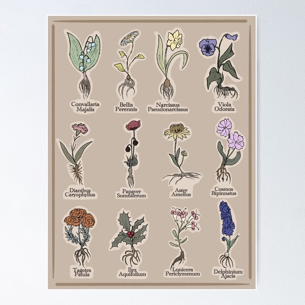 Item preview, Birth Month Flowers scientific name  designed and sold by Chaosauce.