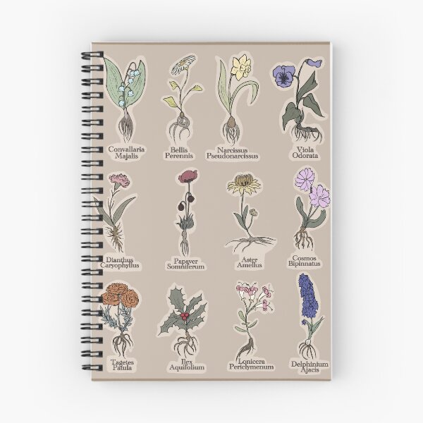 Item preview, Birth Month Flowers scientific name  designed and sold by Chaosauce.