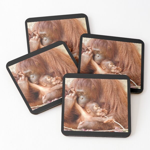 Item preview, Orangutans  designed and sold by Tlpphotos.
