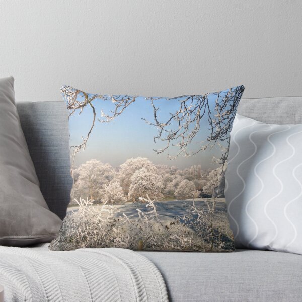 Item preview, A frosty day in Abbey Fields, Kenilworth, UK. No. 1. designed and sold by evansjohnd.