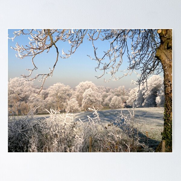 Item preview, A frosty day in Abbey Fields, Kenilworth, UK. No. 1. designed and sold by evansjohnd.