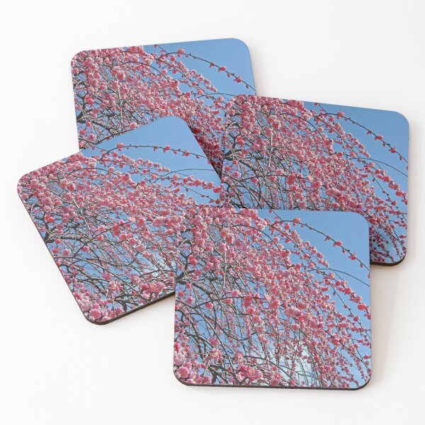 Item preview, Weeping plum(Shidare Ume tree) designed and sold by nokkcca.
