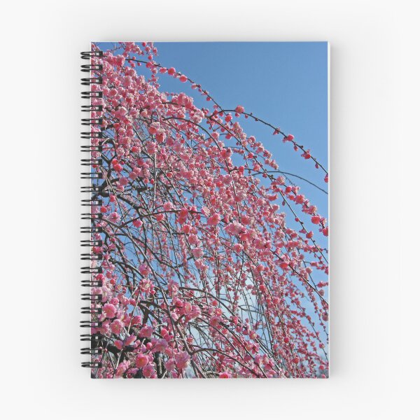 Item preview, Weeping plum(Shidare Ume tree) designed and sold by nokkcca.