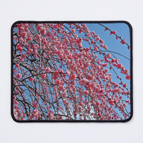 Item preview, Weeping plum(Shidare Ume tree) designed and sold by nokkcca.