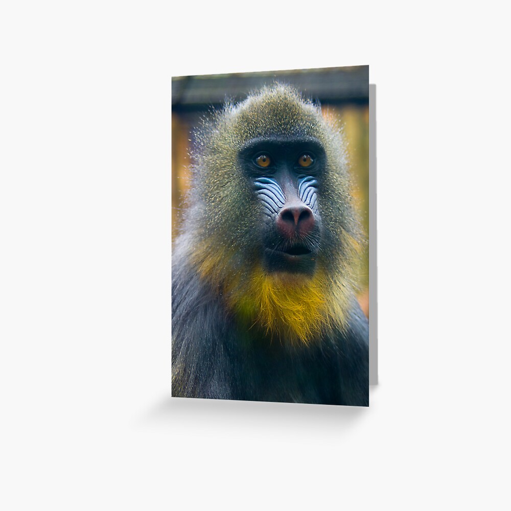 Item preview, Greeting Card designed and sold by steppeland.