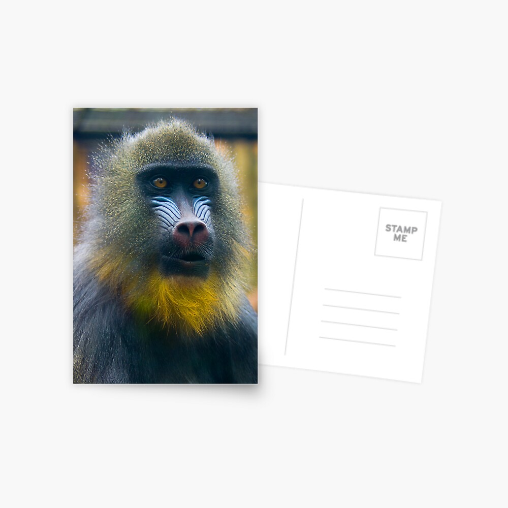 Item preview, Postcard designed and sold by steppeland.