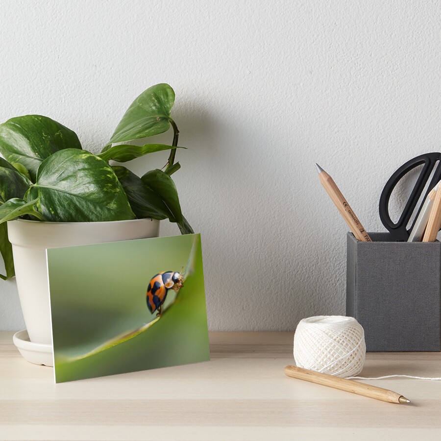 Item preview, Art Board Print designed and sold by UnseenSixth.