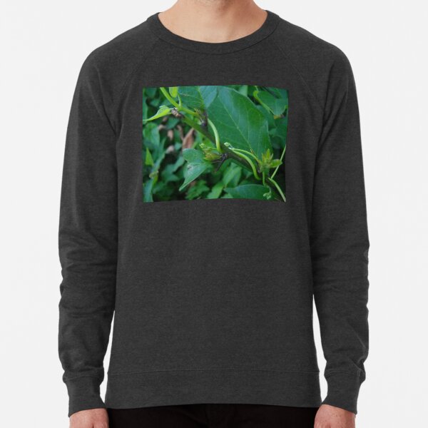 Green Leaf and Vines Lightweight Sweatshirt