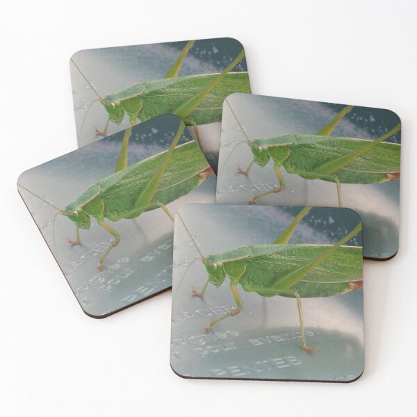 Item preview, Grasshopper Close-up designed and sold by Phantasm-NW.