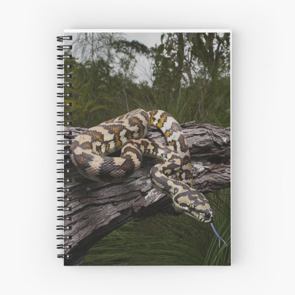 Item preview, Northern Carpet Python in stunning light designed and sold by CNZdenek.
