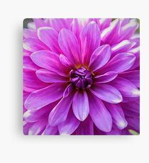 Garden Pink Canvas Print