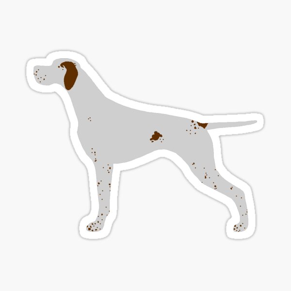 English Pointer auto pegatinas pegatinas fuente pegatinas caza-silueta sticker