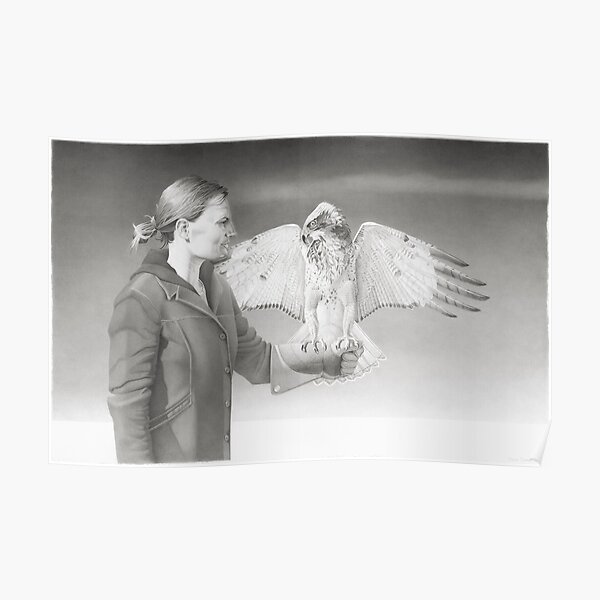 Buteo Poster