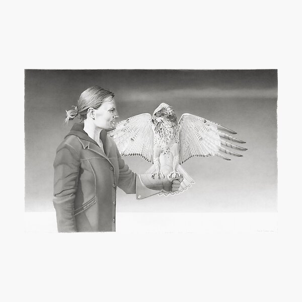 Buteo Photographic Print