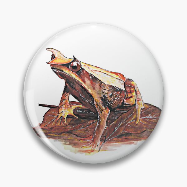Item preview, Malayan leaf frog  designed and sold by craftycatuk.