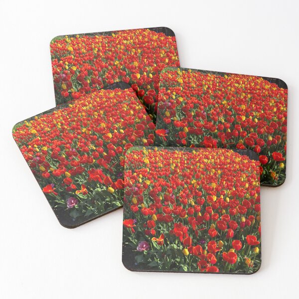Item preview, Tulips blooms, Araluen, Western Australia designed and sold by NimbleFish.