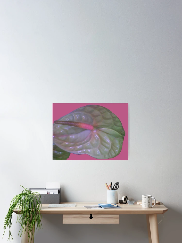 Thumbnail 2 of 3, Poster, Pink designed and sold by Coloursofnature.