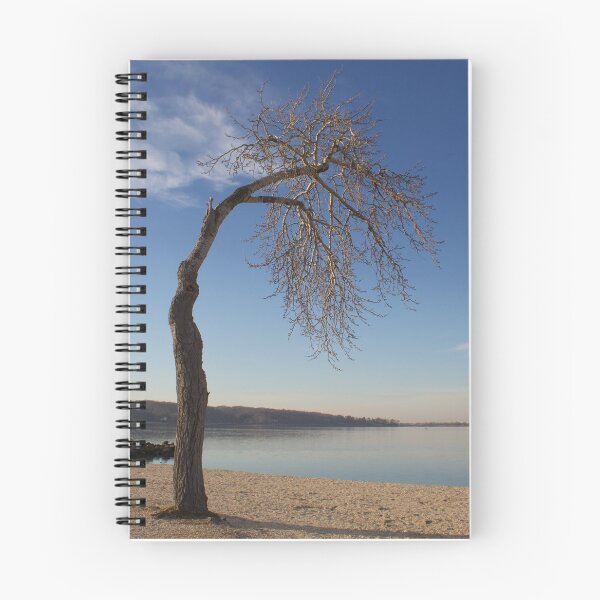 Item preview, The Sad Tree, Oyster Bay designed and sold by Beccalla72.