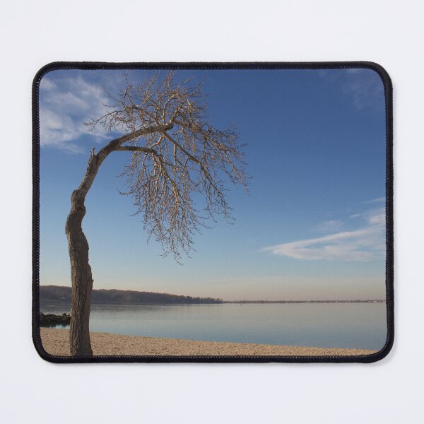 Item preview, The Sad Tree, Oyster Bay designed and sold by Beccalla72.