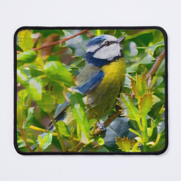 Item preview, Hiding Blue Tit In Slumber designed and sold by Fearless-Fox.