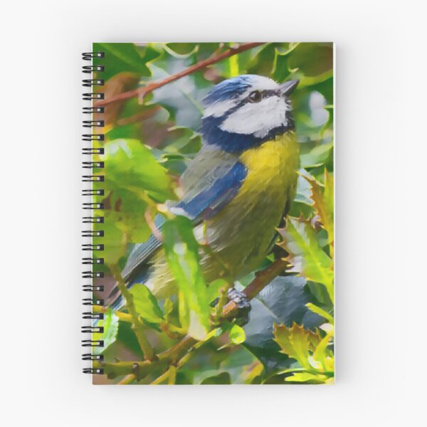 Item preview, Hiding Blue Tit In Slumber designed and sold by Fearless-Fox.