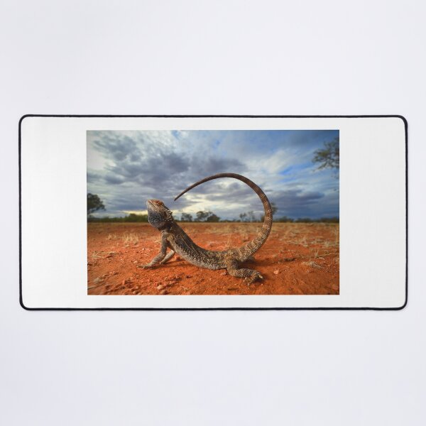 Item preview, Central Bearded Dragon (Pogona vitticeps) designed and sold by CJHay.