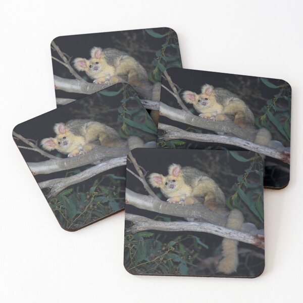 Item preview, Greater Glider, white morph designed and sold by CNZdenek.