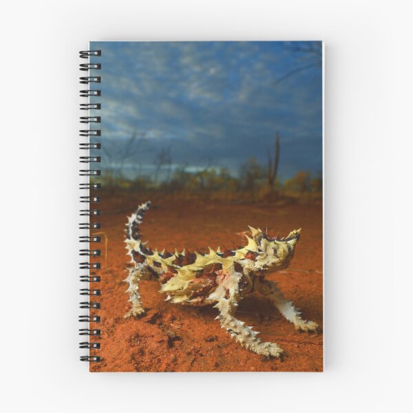 Item preview, Thorny Devil (Moloch horridus) designed and sold by CJHay.