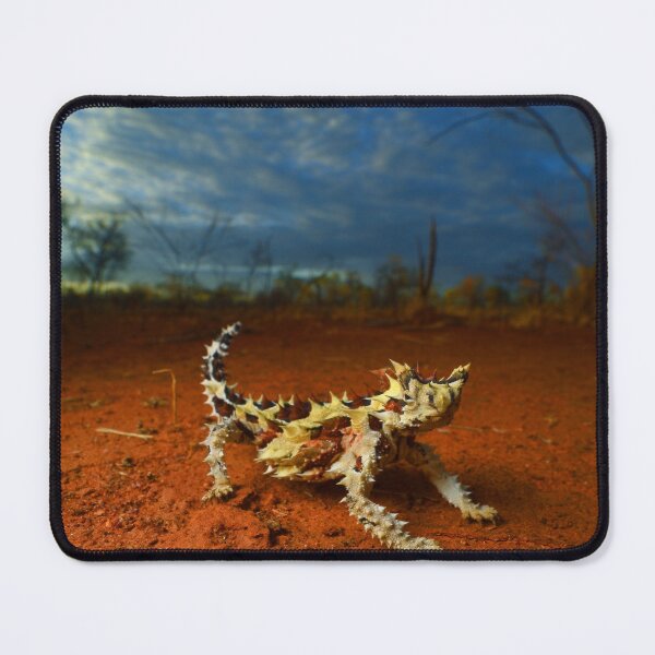 Item preview, Thorny Devil (Moloch horridus) designed and sold by CJHay.