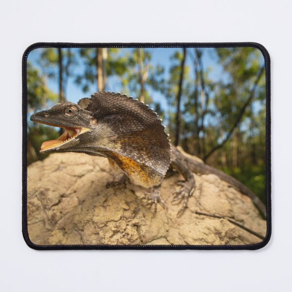 Item preview, Frill-necked Lizard  designed and sold by CNZdenek.
