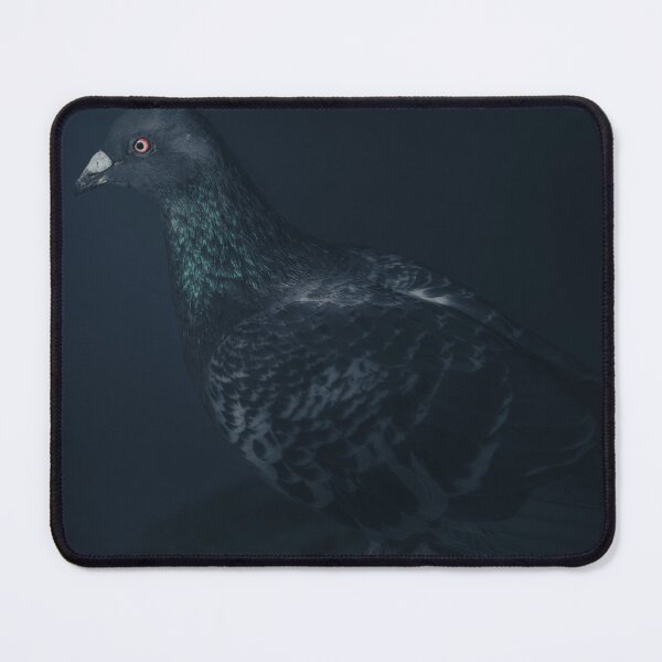 Aperçu de l'œuvre Pigeon Blues créée et vendue par DavidToolan.