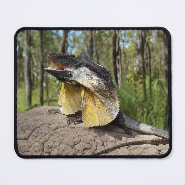 Item preview, Frill-necked Lizard designed and sold by CNZdenek.