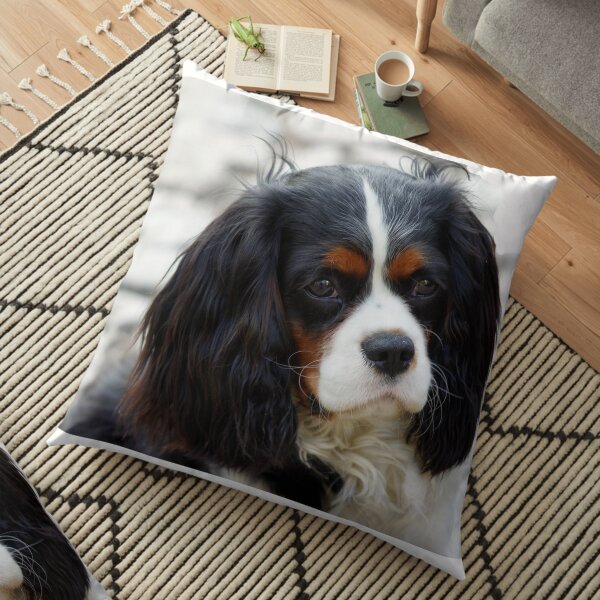 cavalier king charles spaniel second Floor Pillow