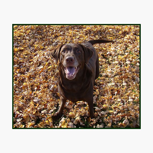 Item preview, Lexie in the Fall leaves designed and sold by tawaslake.