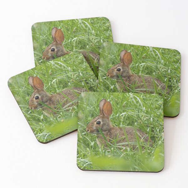 Item preview, Rabbit Hiding in the Grass designed and sold by McFleur's Lens.