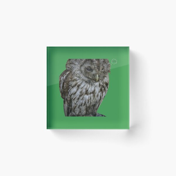 Item preview, owl designed and sold by EdythAbbott.