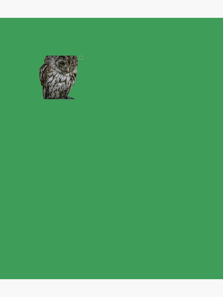 Thumbnail 3 of 3, Backpack, owl designed and sold by EdythAbbott.