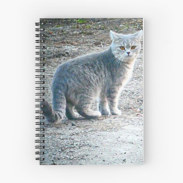 Item preview, Cats in the neighbourhood designed and sold by angel1.
