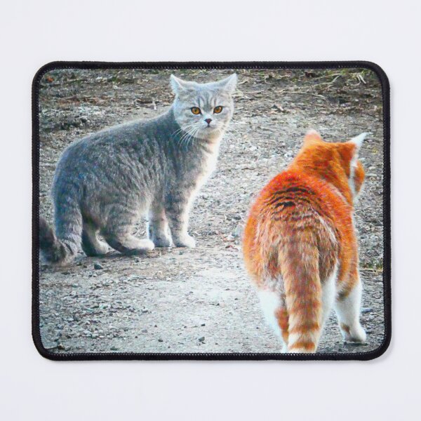 Item preview, Cats in the neighbourhood designed and sold by angel1.